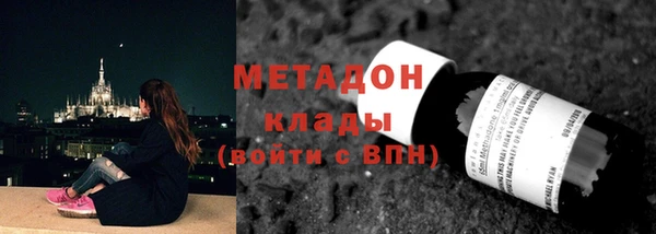 шишки Арсеньев