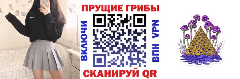 Галлюциногенные грибы Psilocybine cubensis  купить наркоту  Аша 